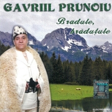 Bradule,bradutule - de Gavriil Prunoiu